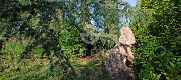 10 rooms House in Trequanda, Italy No. 176134 42