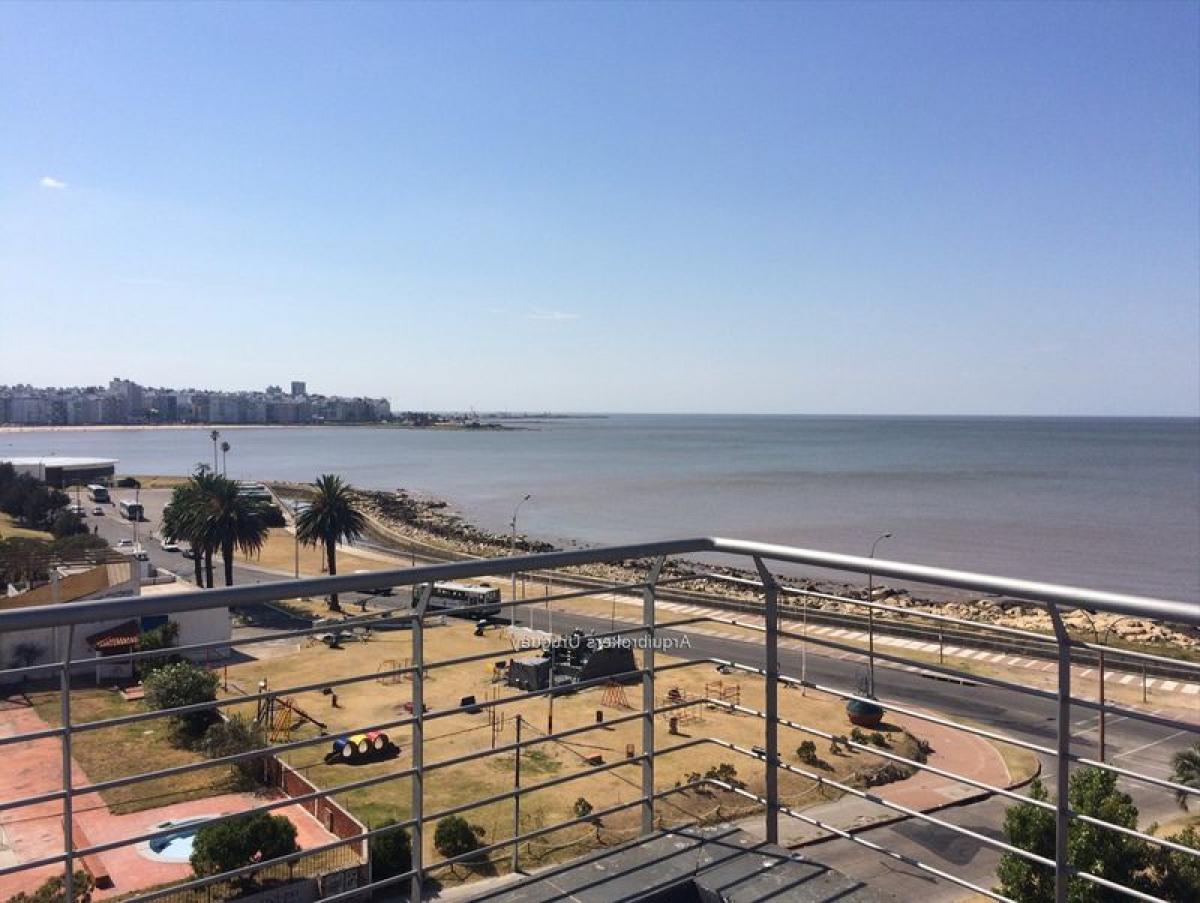 3 bedrooms Apartment in Montevideo, Uruguay No. 525