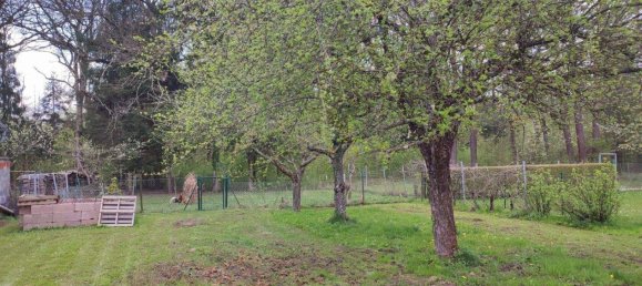 3 rooms House in Kohfidisch, Austria No. 245165 24