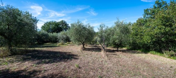 2 bedrooms House in Poli, Italy No. 355942 13