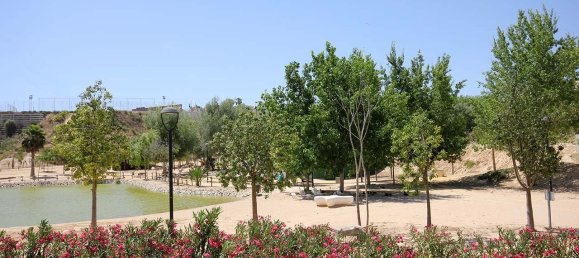 3 bedrooms Villa in Benijofar, Spain No. 16572 11