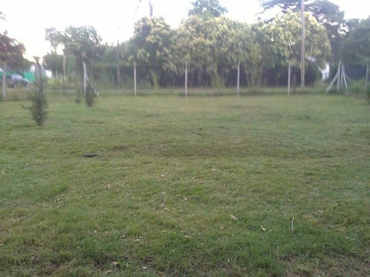 Terrain à Moreno, Argentina No. 33594