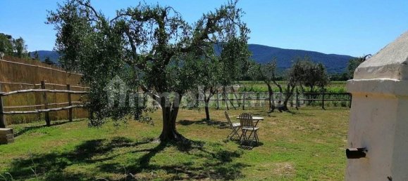 استوديو في Grosseto, Italy رقم 226175 20