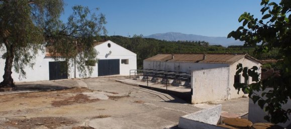 10 bedrooms House in Almayate Bajo, Spain No. 58822 34