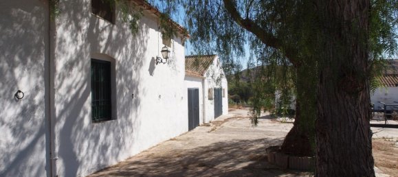 10 bedrooms House in Almayate Bajo, Spain No. 58822 4