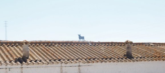 10 bedrooms House in Almayate Bajo, Spain No. 58822 9