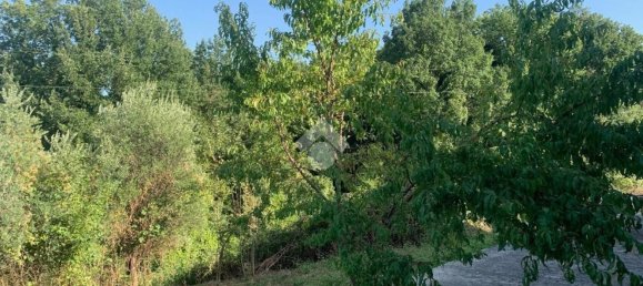 Вилла с 6 комнатами в Казалвиери, Италия № 155934 23