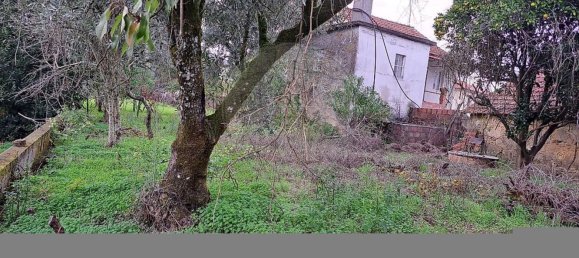 Casa de 3 dormitorios en Canas de Santa Maria, Portugal No. 23199 22