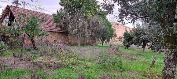 Casa de 3 dormitorios en Canas de Santa Maria, Portugal No. 23199 20