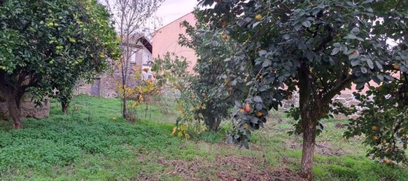 Casa de 3 dormitorios en Canas de Santa Maria, Portugal No. 23199 21