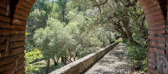 12 rooms Villa in Monte Argentario, Italy No. 13341 46