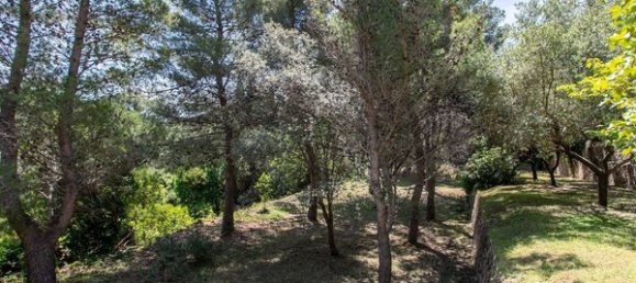 12 rooms Villa in Monte Argentario, Italy No. 13341 48