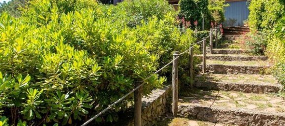 12 rooms Villa in Monte Argentario, Italy No. 13341 45