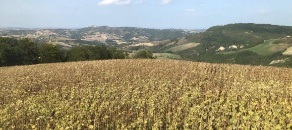 4 bedrooms House in Force, Italy No. 297547 14