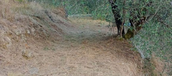 5 bedrooms Villa in Apricale, Italy No. 376626 10