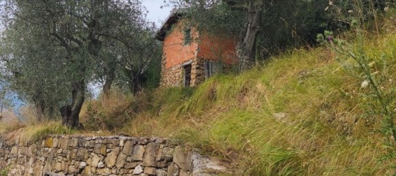 5 bedrooms Villa in Apricale, Italy No. 376626 4