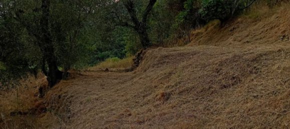 5 bedrooms Villa in Apricale, Italy No. 376626 7