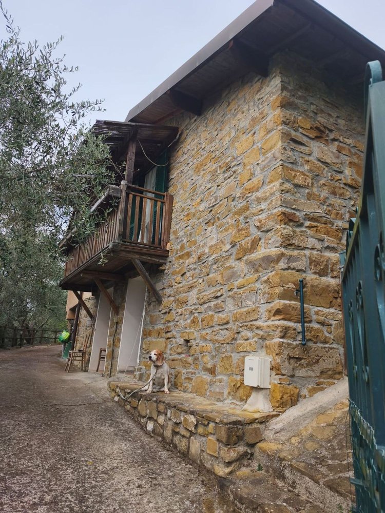 5 bedrooms Villa in Apricale, Italy No. 376626