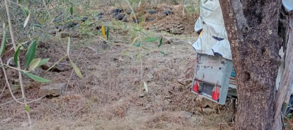 5 bedrooms Villa in Apricale, Italy No. 376626 9