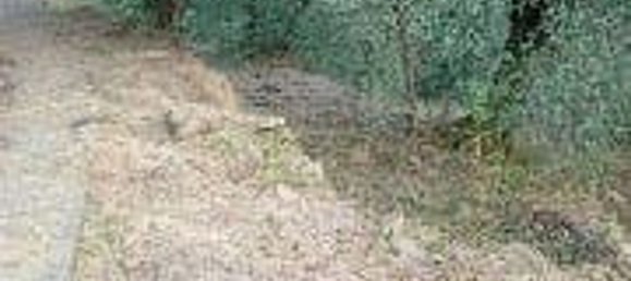 5 bedrooms Villa in Apricale, Italy No. 376626 8