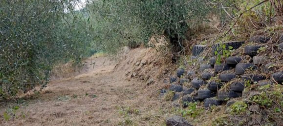 5 bedrooms Villa in Apricale, Italy No. 376626 5