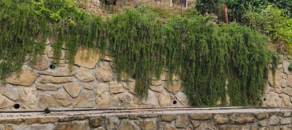 5 bedrooms Villa in Apricale, Italy No. 376626 6