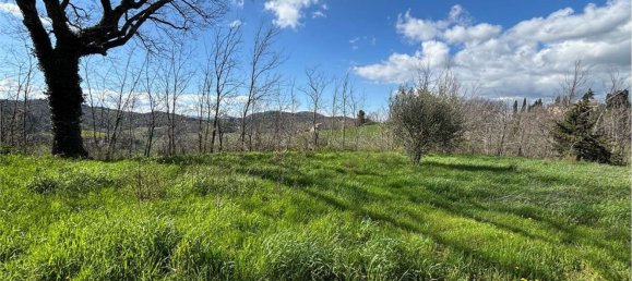 7 rooms House in Vallefoglia, Italy No. 134151 2