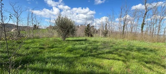 7 rooms House in Vallefoglia, Italy No. 134151 9