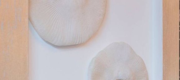 2 rooms Commercial property in Trento, Italy No. 211011 23