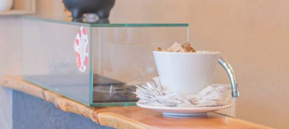 2 rooms Commercial property in Trento, Italy No. 211011 21