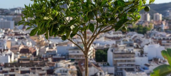 4 غرف نوم بانتهاوس في Fuengirola, Spain رقم 176712 4