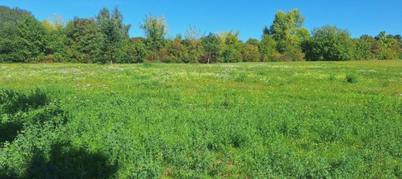 Terreno en Gera, Germany No. 361613 4