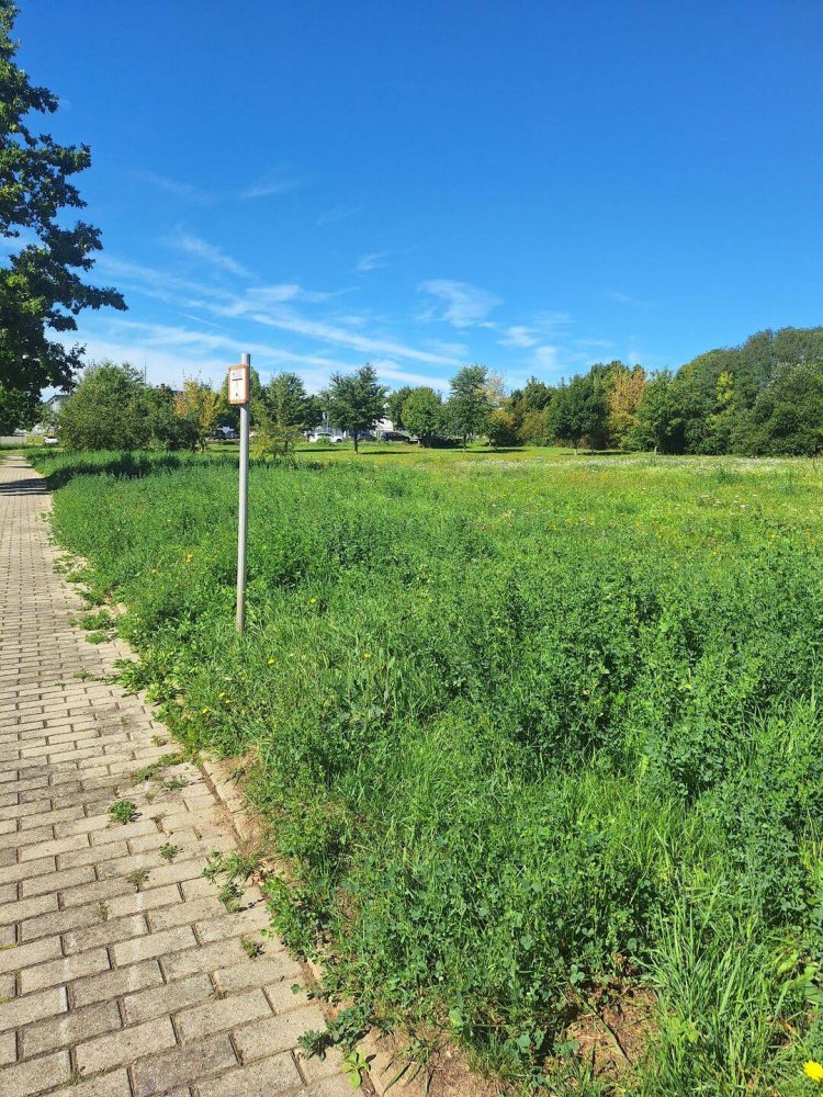 Terreno en Gera, Germany No. 361613