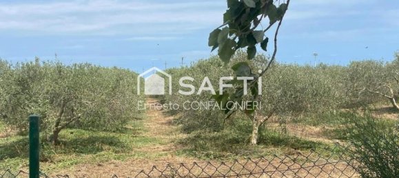 Grundstück in Amposta, Spain 5498m², Nr. 176635 8