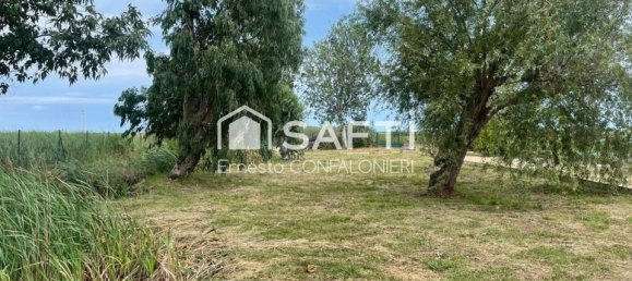 Grundstück in Amposta, Spain 5498m², Nr. 176635 20