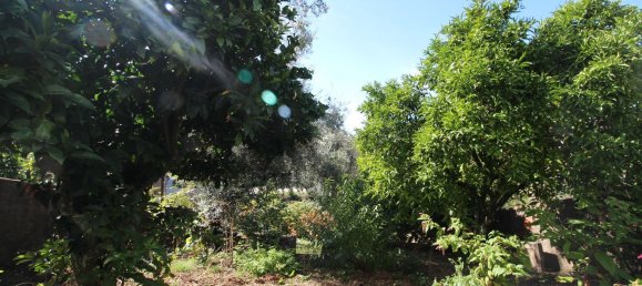 2 غرف نوم منزل في Pessegueiro, Portugal رقم 74550 28