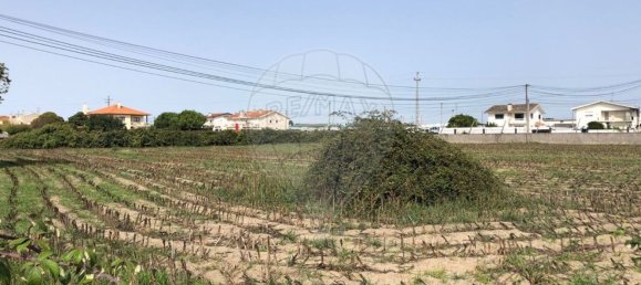 Земельный участок 2800м² в Овар, Португалия № 90460 14