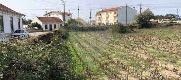 Земельный участок 2800м² в Овар, Португалия № 90460 10