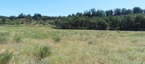 Terrain à Étoile-sur-Rhône, France 403m² No. 104768 7