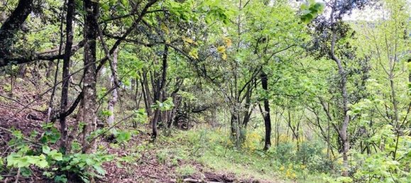 Terreno em Casteil, France 65135 m² N.º 185845 9