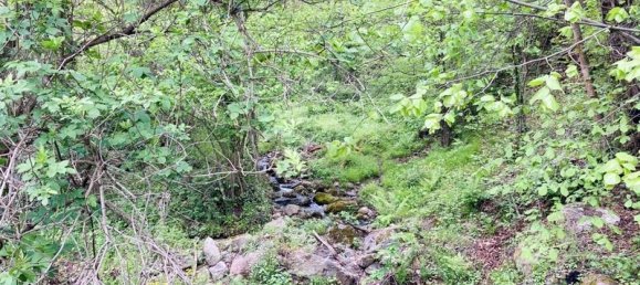 Terreno em Casteil, France 65135 m² N.º 185845 6