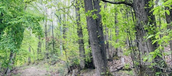 Terreno em Casteil, France 65135 m² N.º 185845 3