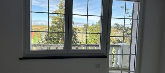 Casa de 5 dormitorios en Neuwiller, France No. 87864 16