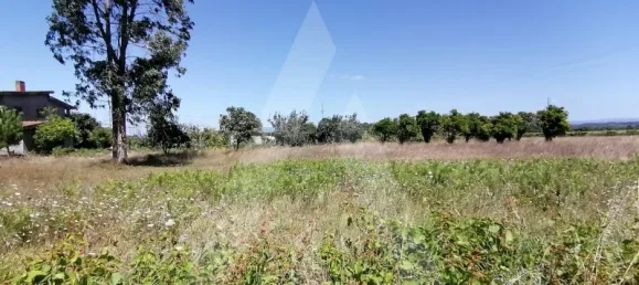  Land in Cacia, Portugal No. 93219 3