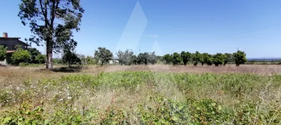  Land in Cacia, Portugal No. 93219 2