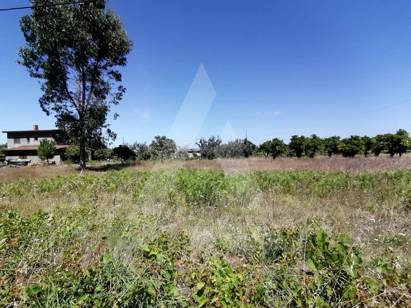  Land in Cacia, Portugal No. 93219
