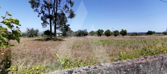  Land in Cacia, Portugal No. 93219 6