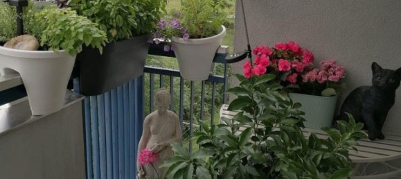 Квартира с 5 комнатами в Хард, Австрия № 252622 4