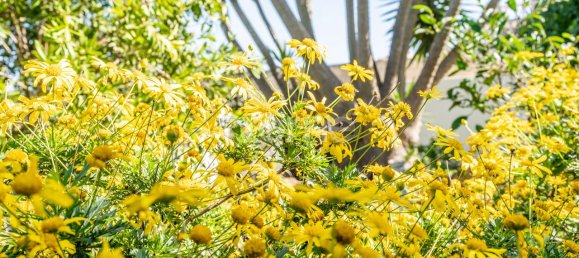 4 غرف نوم منزل في Lagos, Portugal رقم 73394 17