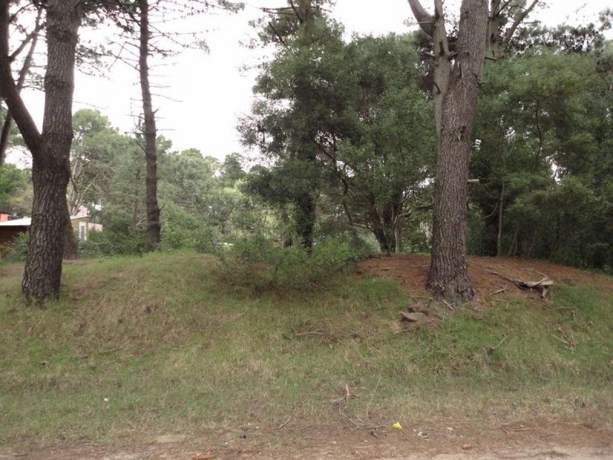  قطعة أرض في Mar del Plata, Argentina رقم 116015